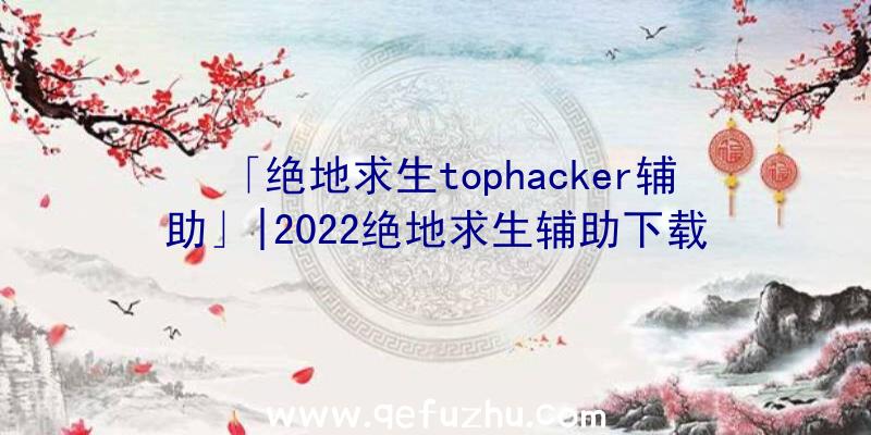 「绝地求生tophacker辅助」|2022绝地求生辅助下载